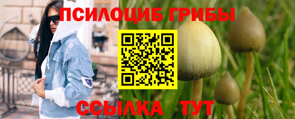 Гусь-Хрустальный  Галлюциногенные грибы MAGIC MUSHROOMS  Вход с VPN 